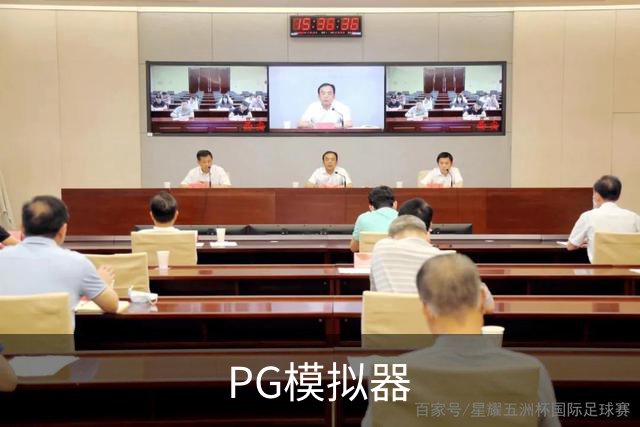 PG模拟器公司简介图片